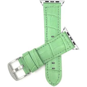 Green Apple Watch Bands